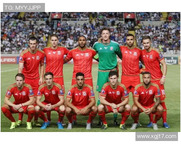 威尔士与斯洛伐克精彩对决回放分析与赛后点评